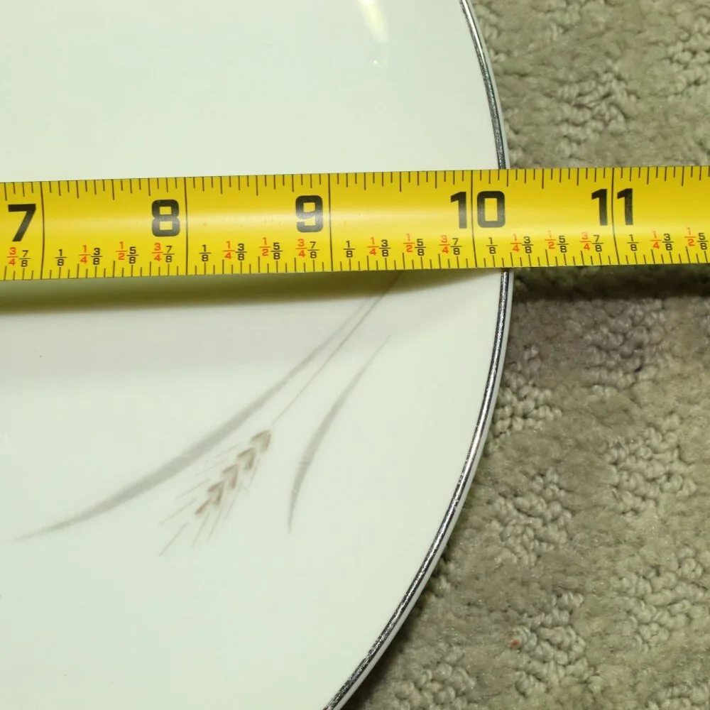 Vintage MCM Platinum Wheat Fine China Japan 10.25